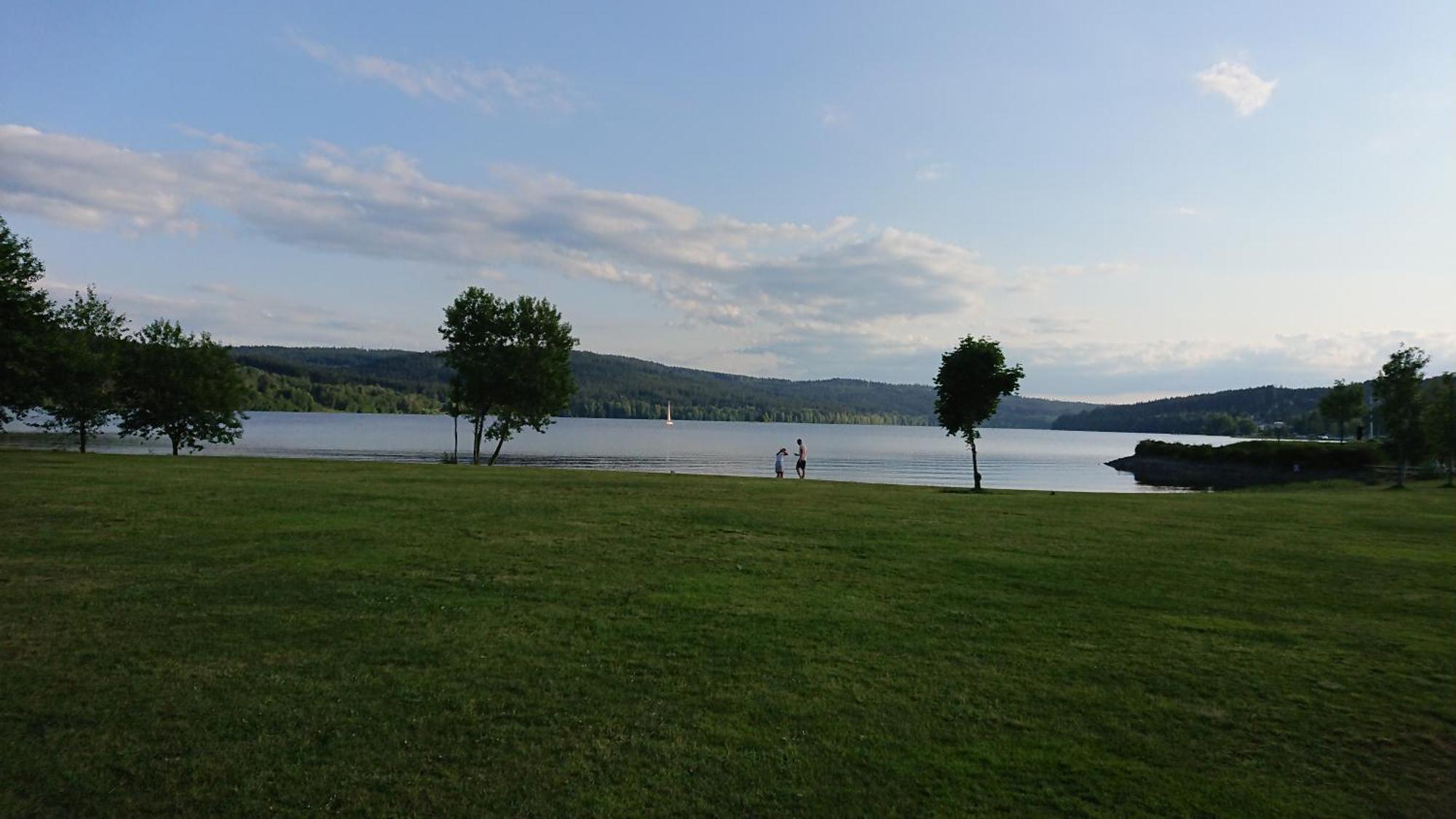 Lipno99 Villa Lipno nad Vltavou Ruang foto